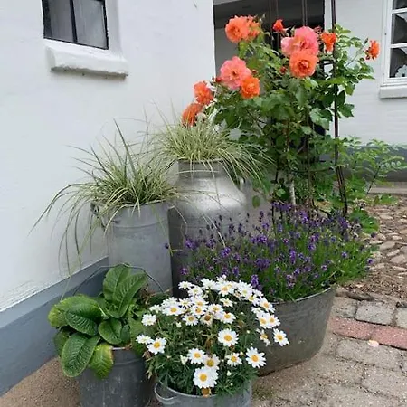Luxurious Country House With Unique Atmosphere Fredericia